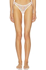 Blush Hibiscus Thong Panty - thumbnail 4