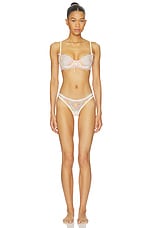 Blush Hibiscus Thong Panty - thumbnail 7