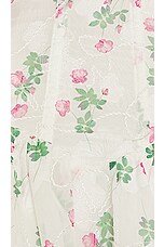 Remi - Womens Skirt - Green