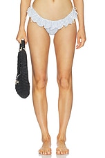 Daisy Lane Bikini Bottom - thumbnail 4