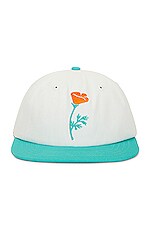 Product image of Free & Easy Poppy Short Brim Snapback Hat. Click to view full details