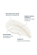 Protect Body 100% Mineral Sunscreen SPF 50 - thumbnail 8