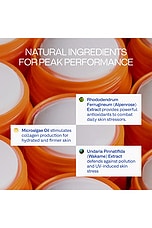 Peak Performance SPF 50 Sun Stick - thumbnail 7
