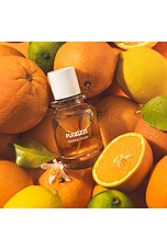 Orange Crush Eau De Parfum 50ml - thumbnail 8