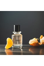 Sugardaddy Extrait 50ml - thumbnail 7