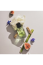 Thirsty Extrait 50ml - thumbnail 9