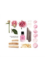 Cash Flower Extrait 50ml - thumbnail 6
