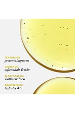 Fur Oil - thumbnail 7