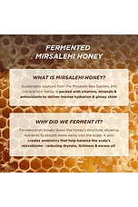 Honey Gloss Ceramide Therapy Hydrating Shampoo - thumbnail 5