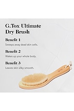 G.tox Ultimate Dry Brush - thumbnail 6