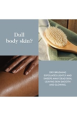 G.tox Ultimate Dry Brush - thumbnail 7