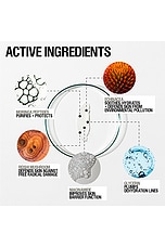 Skin Renewal Day Cream - thumbnail 5