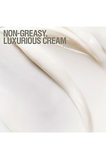 Skin Renewal Day Cream - thumbnail 8