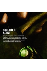 Tomorrowland The Elixir Collection - thumbnail 9
