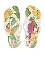 Farm Rio Parrot and Floral Sandal