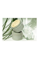 Lemongrass Shea Body Butter - thumbnail 5