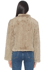 Deline Jacket - thumbnail 6