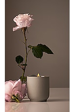 Steeped Rose Candle - thumbnail 6