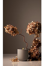 Cece Candle - thumbnail 6