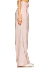 Alina Pant - thumbnail 5