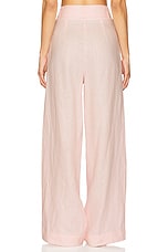 Alina Pant - thumbnail 6
