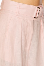 Alina Pant - thumbnail 8
