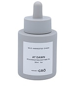 At Dawn Rejuvenating Daytime Oil - thumbnail 5