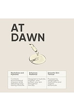 At Dawn Rejuvenating Daytime Oil - thumbnail 6