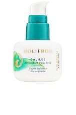 Product image of HoliFrog Galilee Antioxidant Dewy Drop. Click to view full details