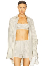 Pinstripe Poplin Bra - thumbnail 4