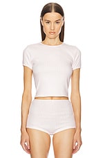 Pointelle Baby Tee