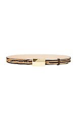 Plate Belt