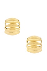Terre Hoop