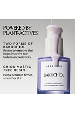 Bakuchiol Dual Retinol Alternative Serum - thumbnail 5