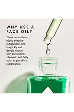 Emerald Hemp Seed + Adaptogens Calming Facial Oil - thumbnail 7