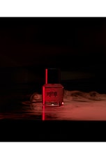 Nosferatu Eau De Macabre - thumbnail 9