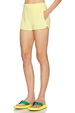 Towelling Shorts - thumbnail 6