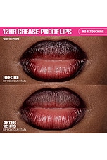 Lip Contour Lip Stain - thumbnail 5