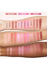 Blush Filter Blurring Blushlighters Palette - thumbnail 7