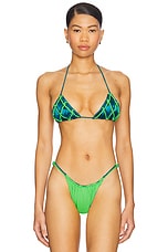 Caught Triangle Bikini Top