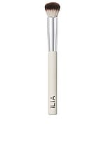 Complexion Brush