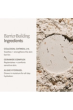 Barrier Build Skin Protectant Cream - thumbnail 9