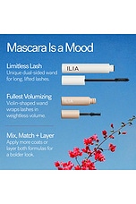 The Mascara Duo - thumbnail 6