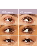 The Mascara Duo - thumbnail 10