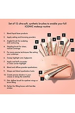 All Angles Brush Set - thumbnail 5