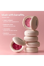 Soft Touch Blush - thumbnail 5