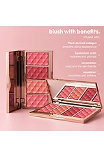 Soft Touch Blush Palette - thumbnail 6
