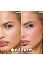 Soft Touch Blush Palette - thumbnail 8
