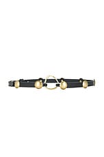 Karlo Belt