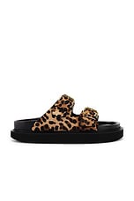 Lennya Slides